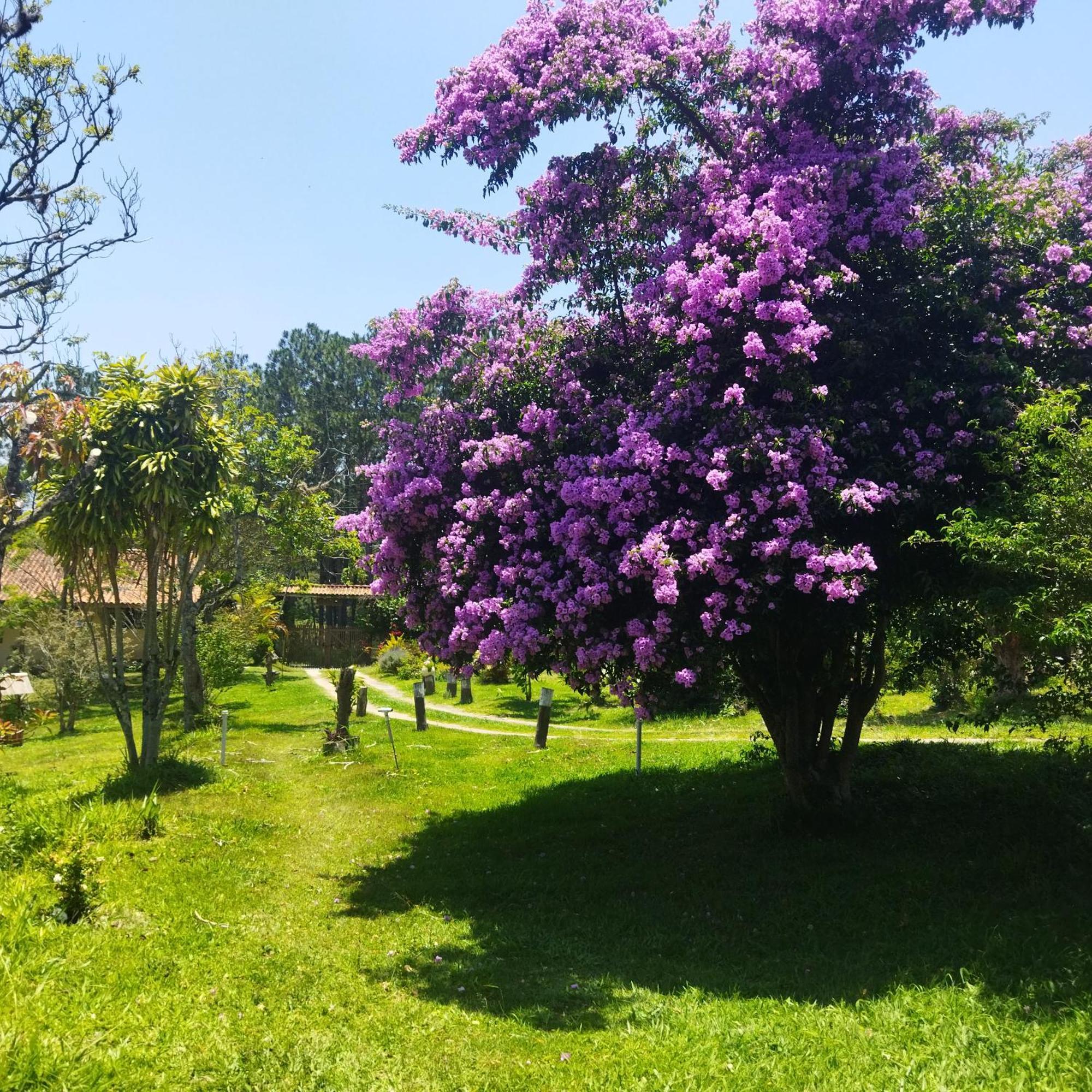 Villa Chácara Áquila São Roque Exterior foto